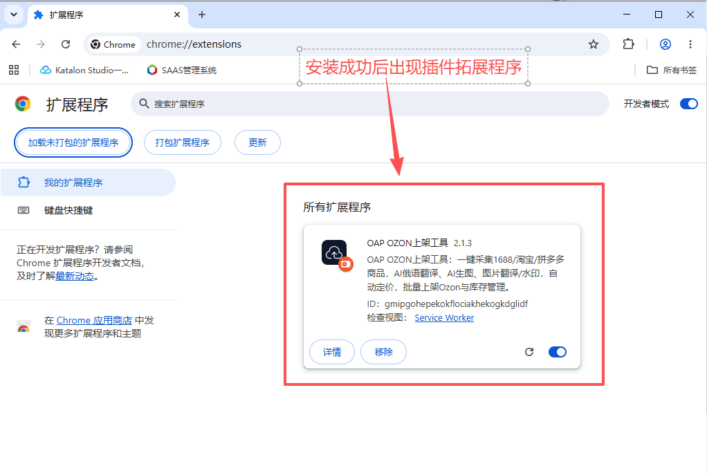 插件加载成功